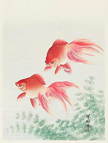 Goldfish Poster Goldfish Decor Goldfish Prints Japanese Fish Decor Peach Wall Art Peach Poster Goldfish Prints Goldfish Art China Goldfish (30cm x 40cm) von WallBUddy
