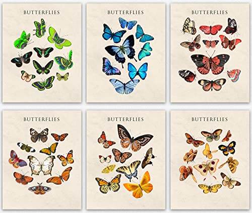 Set of 6 Ivory wohnzimmer deko modern & Botanical Decor & Butterfly Wall art - Butterfly Room Decor & Home Decor/Colorful Living Room Decor, Office Decor & wanddeko wohnzimmer (20cm x 25cm) von WallBUddy