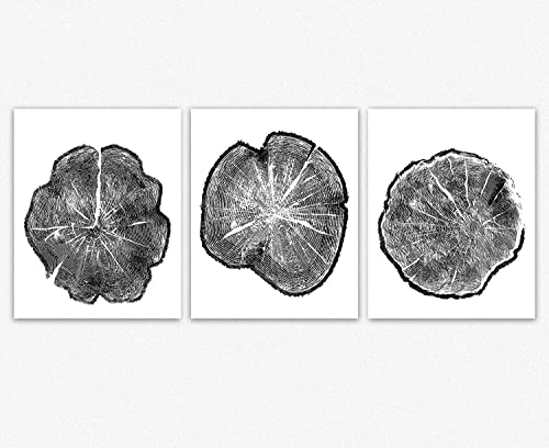 Tree Ring Set of 3 Wall Art Tree Prints Nature Wood Rings for Bohemian Decor (61cm x 91.4cm) von WallBUddy