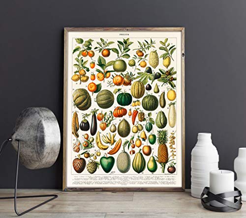 WBFRU-18 Poster, Vintage-Stil, Obst-Illustration, 5 x 7 von WallBUddy