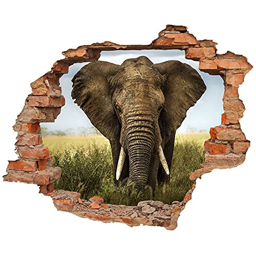 WCB Wandtattoo - Wanddurchbruch mit Aussicht auf Elefant 70 x 57 cm - Wandaufkleber von WallSpirit
