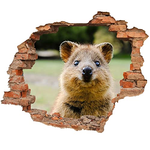 WCB Wandtattoo - Wanddurchbruch mit Aussicht auf Quokka 70 x 57 cm - Wandsticker von WallSpirit