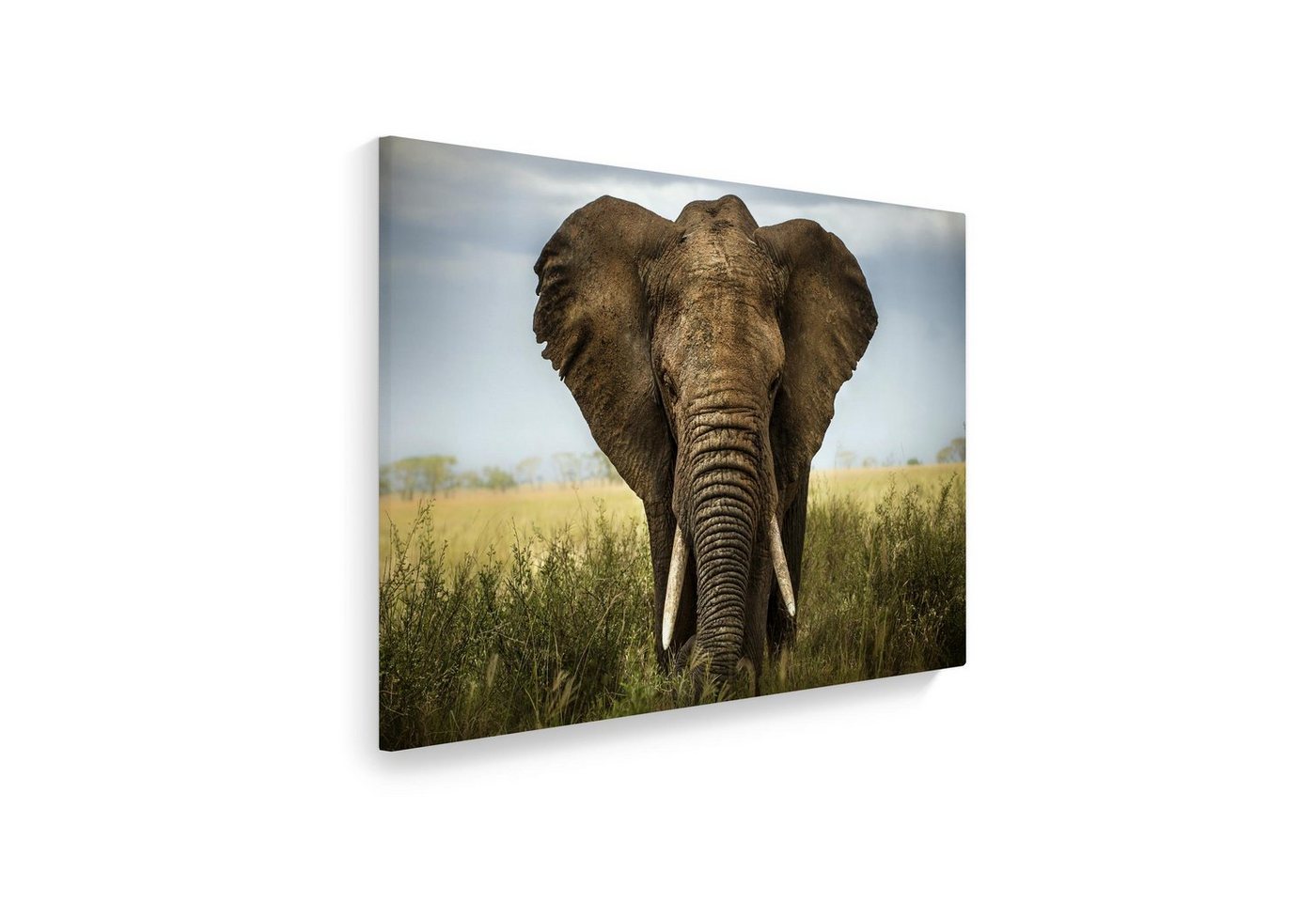WallSpirit Leinwandbild Elefant - Afrika" - XXL Wandbild, Leinwandbild geeignet für alle Wohnbereiche" von WallSpirit