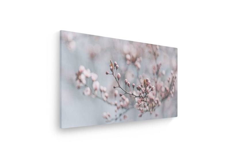 WallSpirit Leinwandbild "Kirschblüte" - XXL Wandbild, Leinwandbild geeignet für alle Wohnbereiche WallSpirit Leinwandbild "Kirschblüte" - XXL Wandbild, Leinwandbild geeignet für alle Wohnbereiche von WallSpirit