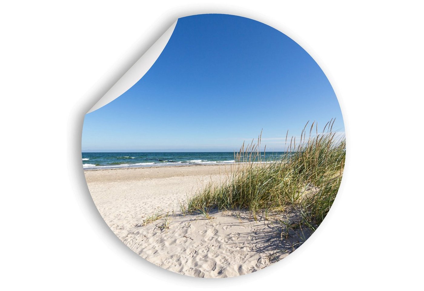 WallSpirit Wandsticker Wandaufkleber rund "Ostseedüne", Selbstklebend, rückstandslos abziehbar WallSpirit Wandsticker Wandaufkleber rund "Ostseedüne", Selbstklebend, rückstandslos abziehbar von WallSpirit