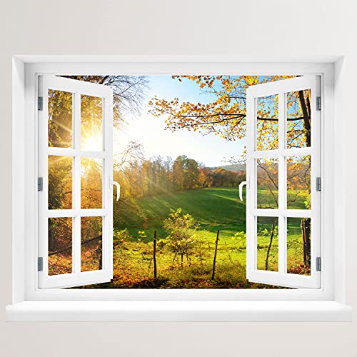 Wandtattoo - Fenster mit Aussicht Wald mit Lichtung 100 x 78 cm – Wandsticker von WallSpirit