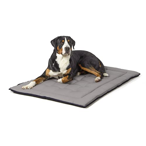 Wallace & Jones | Wendedecke pflegeleicht waschbar bis 95°C - gepolsterte Indoor/Outdoor Liegedecke für Hunde | XL - 130 x 90 cm - Schwarz/Grau von Wallace & Jones