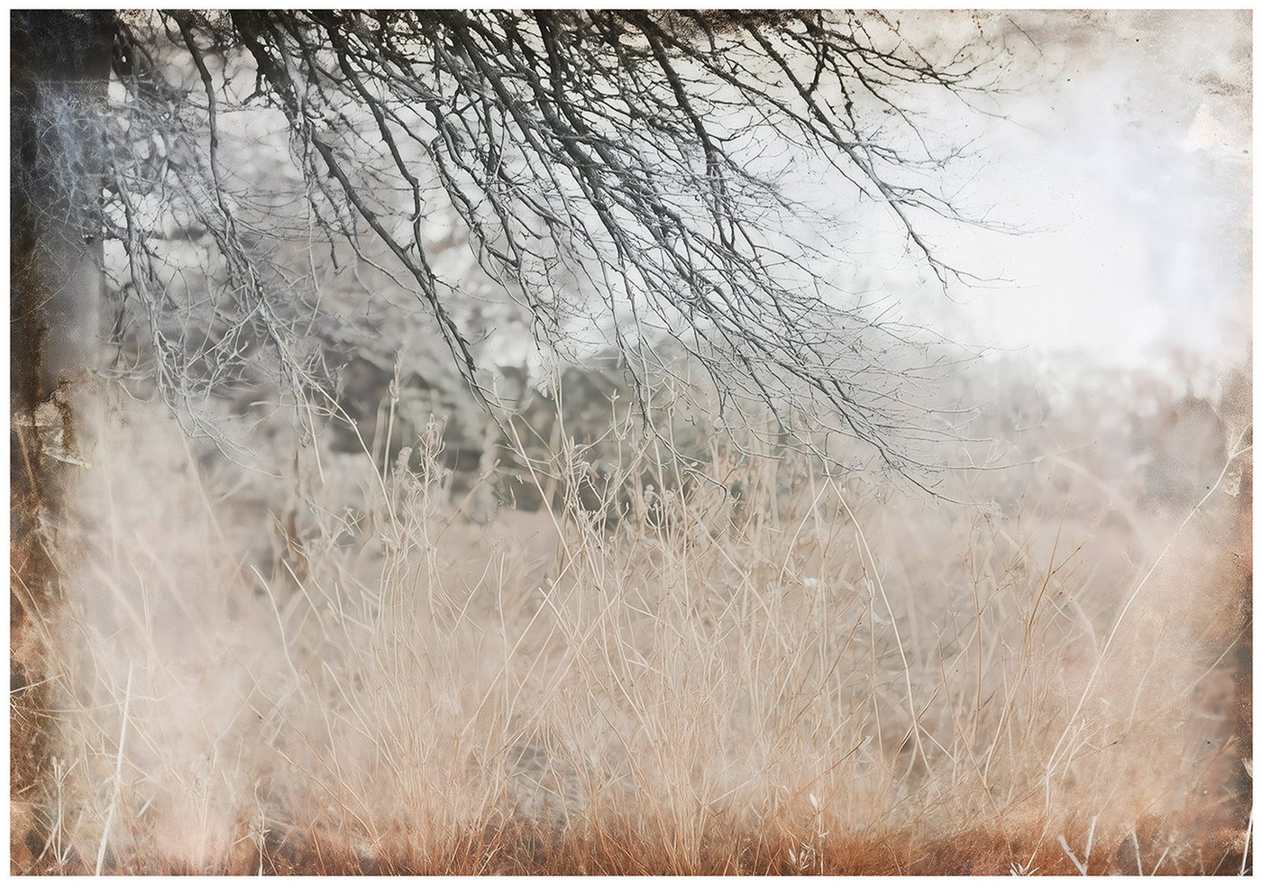 Wallarena Fototapete Ast Natur Grau Beton Vlies Tapete Wohnzimmer Schlafzimmer Wandtapete, Glatt Vlies Washable, Ast, Natur, Grau, Beton, (Packung, 7 St., Vlies Fototapete), Vliestapete Beige Wohnzimmer Schlafzimmer Küche Tapete + Kleister von Wallarena