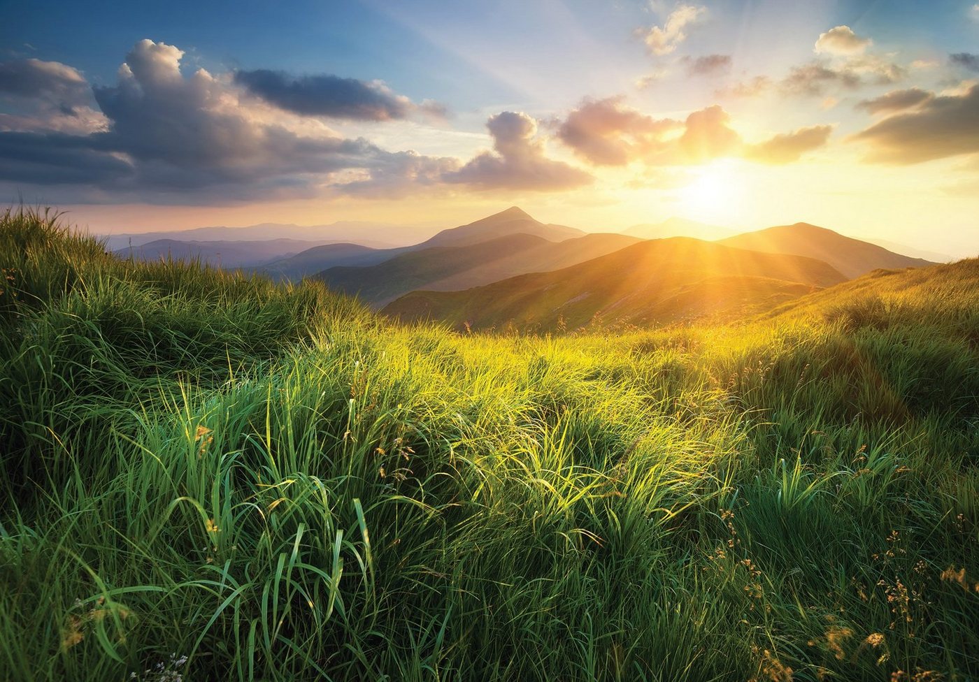 Wallarena Fototapete Berge Landschaft Natur Vlies Tapete Wohnzimmer Schlafzimmer Wandtapete, Glatt, Ausblick, Vliestapete inklusive Kleister von Wallarena