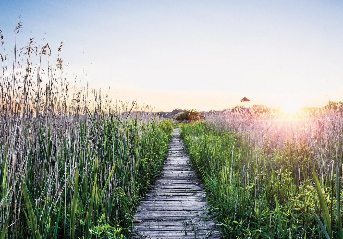 Wallarena Fototapete Landschaft Pier Weg Vlies Tapete Wohnzimmer Schlafzimmer Wandtapete, Glatt, Natur, Vliestapete inklusive Kleister von Wallarena