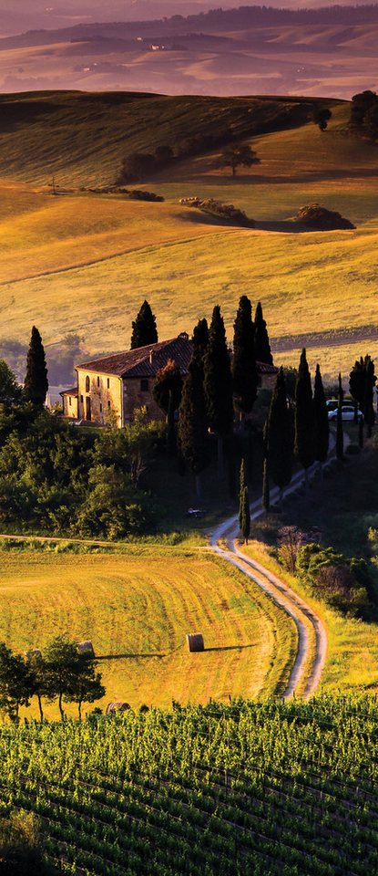 Wallarena Fototapete Tür Landschaft Vlies Tapete Wohnzimmer Schlafzimmer Wandtapete 91x211, Glatt Vlies, Toskana, Tapete inklusive Kleister Vliestapete Motivtapete von Wallarena