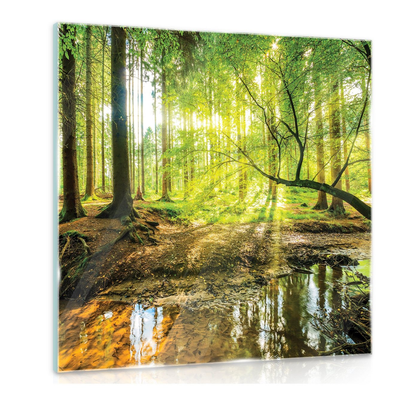 Wallarena Glasbild Wald Natur Landschaft Modern Wohnzimmer Schlafzimmer Badezimmer, Wald (Einteilig, 1 St), Bild Auf Glas Glasbilder 30x30 / 80x60 / 125x50 cm von Wallarena