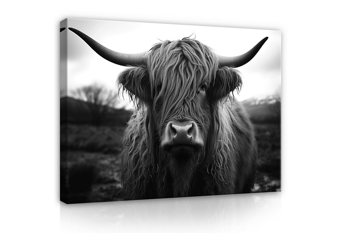 Wallarena Leinwandbild Schottisches Hochlandrind Grau Kuh Highland Schwarz Weiß Wandbilder, Schwarzweiss (Einteilig, 1 St), Bilder Klein Wohnzimmer Schlafzimmer Küche Wandbild Wand Deko 40x30 von Wallarena