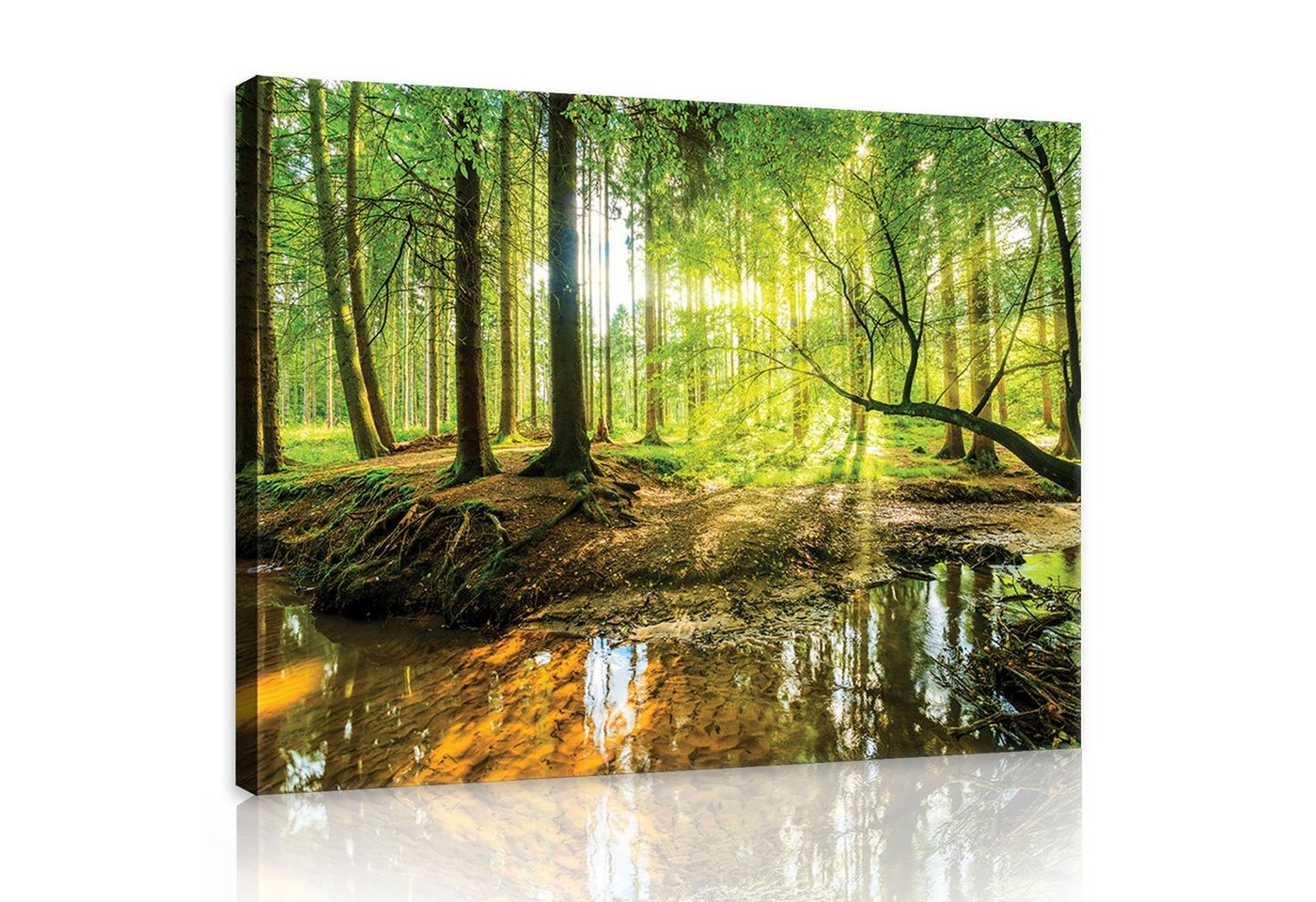 Wallarena Leinwandbild Wald Sonne Natur Sonnenwald Baum Wandbild Groß XXL Wandbilder Leinwandbilder Modern Canvas Kunstdruck Bild Auf Leinwand Bilder für Wohnzimmer Schlafzimmer, (Einteilig), Aufhängefertig von Wallarena