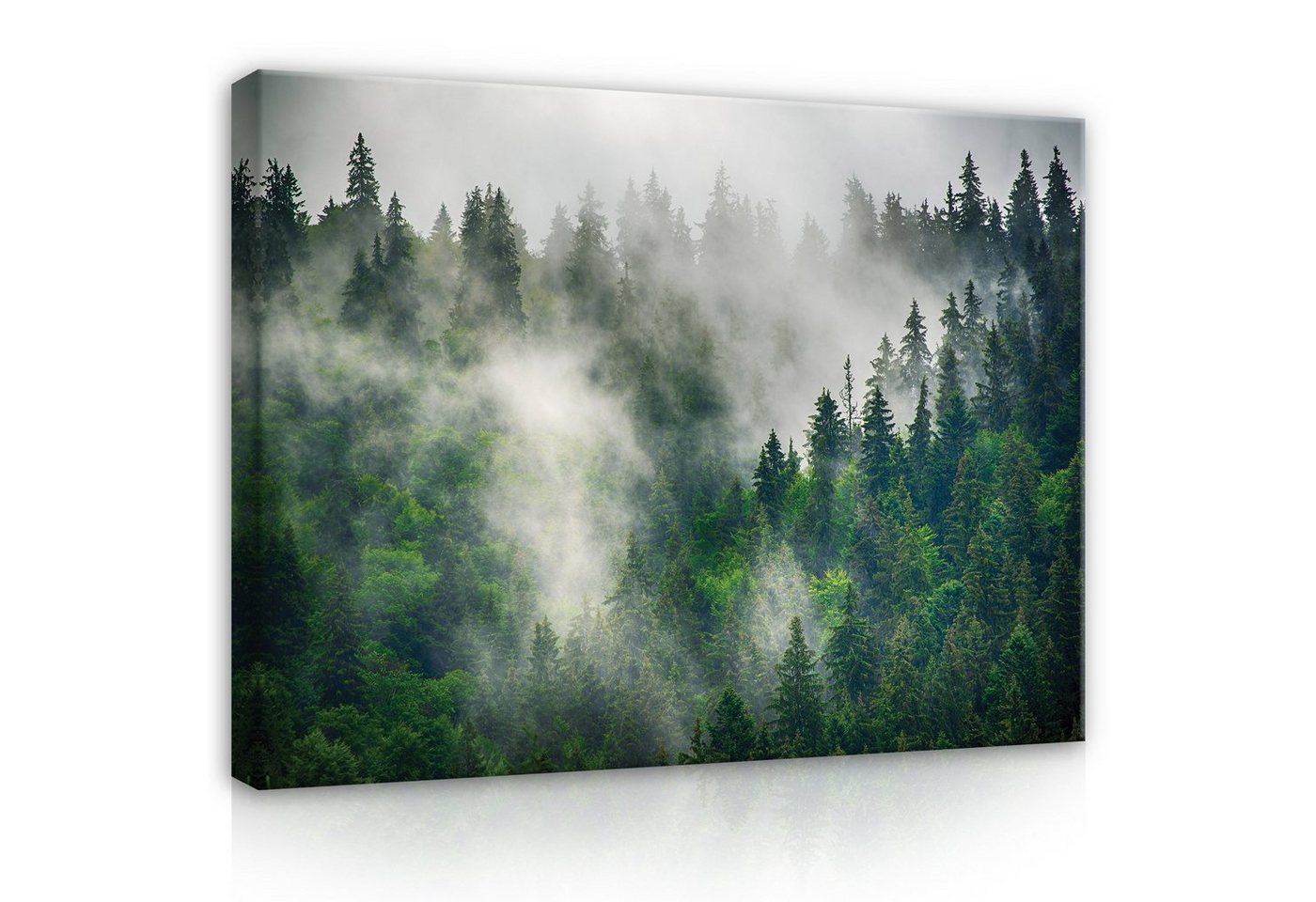 Wallarena Leinwandbild Wald im Nebel Landschaft Kunst Wandbild XXL Leinwandbilder Modern, Natur (Einteilig), Aufhängefertig von Wallarena