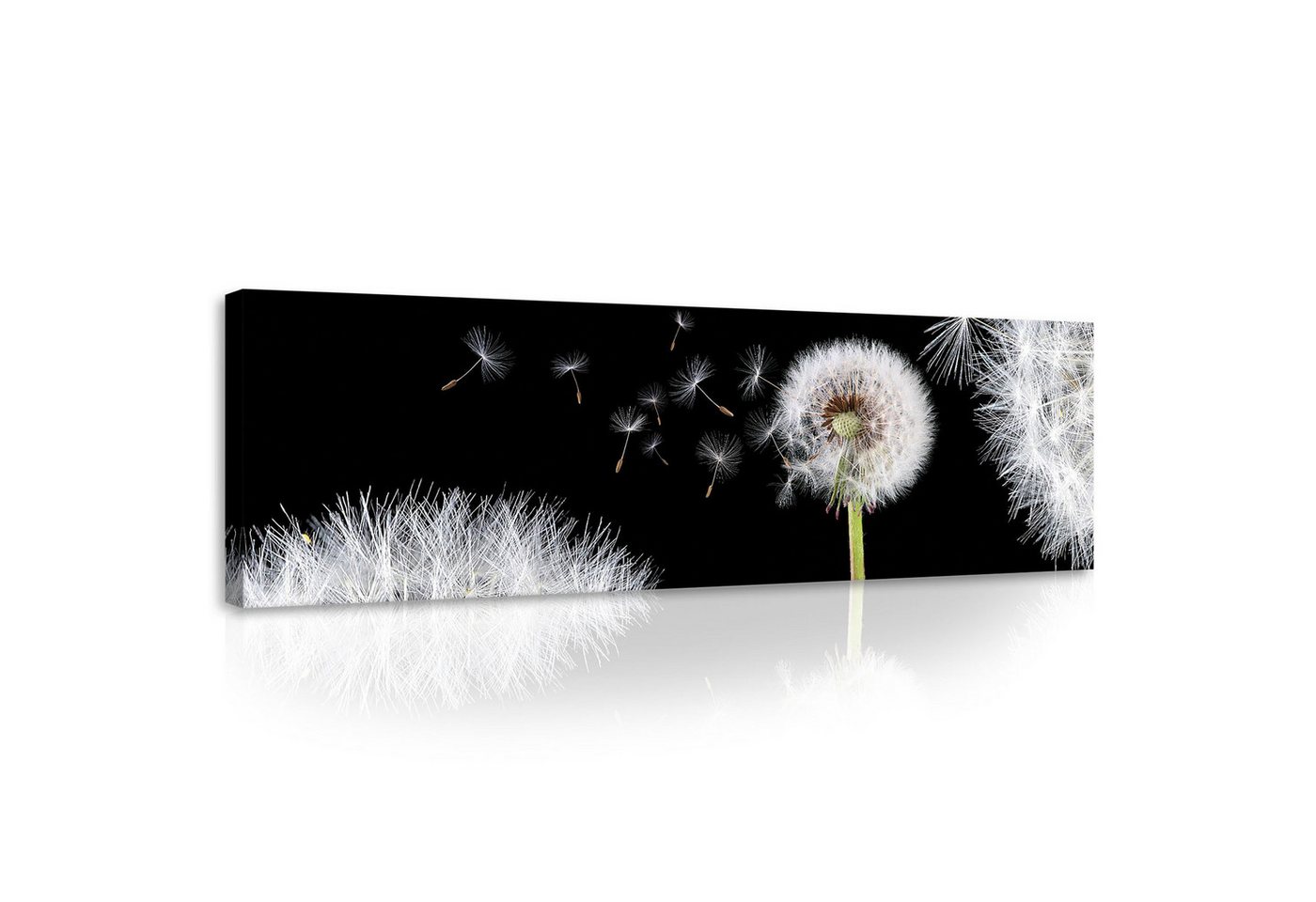 Wallarena Leinwandbild Wohnzimmer Schlafzimmer Bilder Leinwandbilder Wandbild 145x45 cm XXL, Schwarz - Blumen (groß Bilder Wohnzimmer Schlafzimmer Einteilig, 1 St), Wanddeko Schwarz Blumen Bild Wohnzimmer Schlafzimmer XXL Leinwandbild von Wallarena