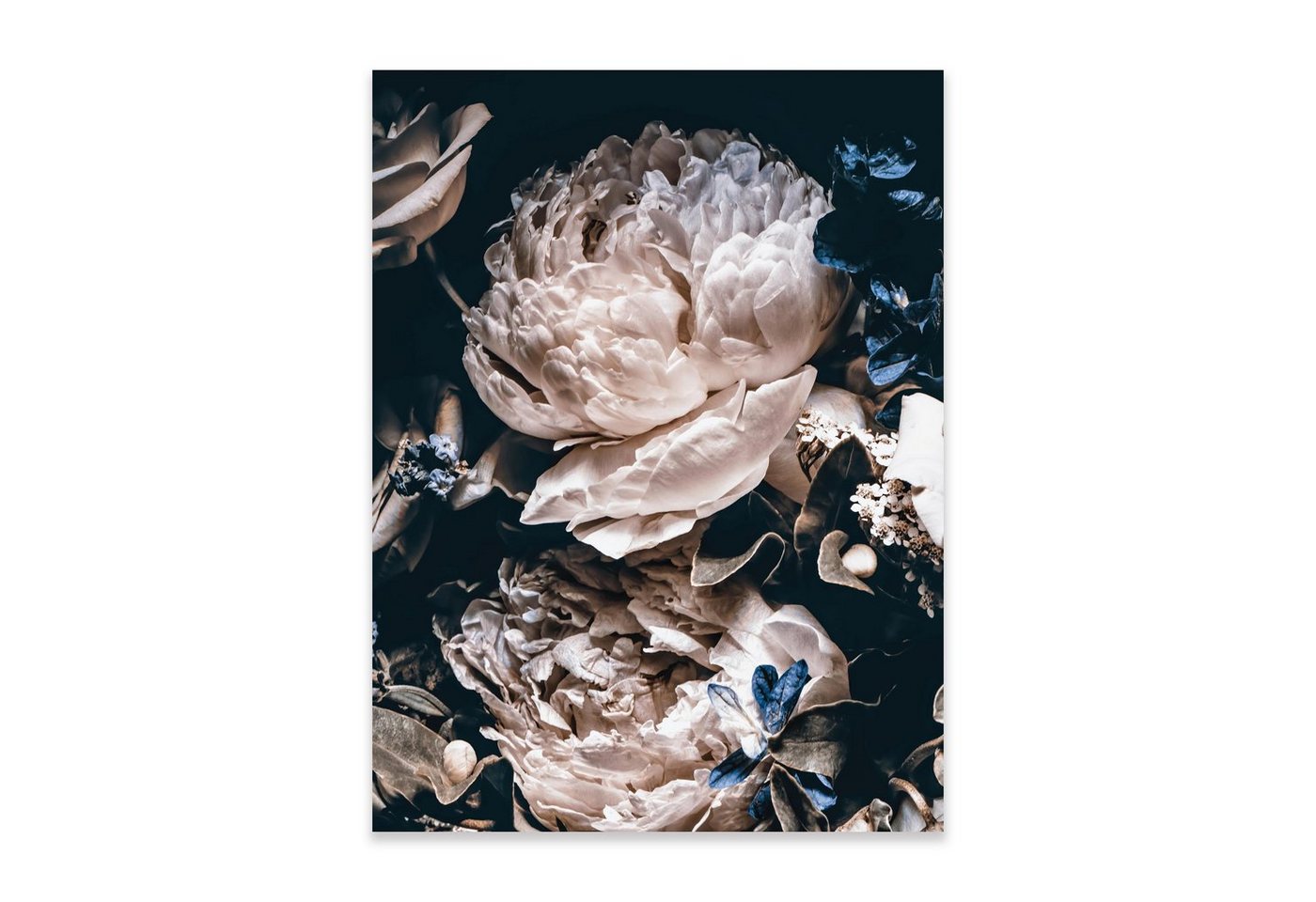 Wallarena Poster Blumen Schwarz Wohnzimmer Schlafzimmer Kunstdruck Wandbild XXL, Blumen (OHNE RAHMEN PREMIUM POSTER, 1 St), Wandbilder Poster 30x40 / 50x70 / 70x100 Küche Wohnzimmer Flur von Wallarena