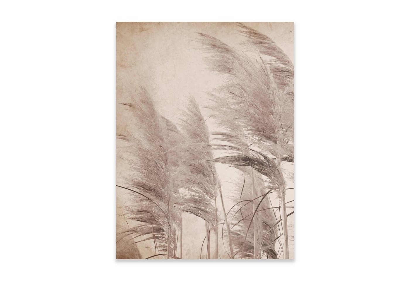 Wallarena Poster Boho Pflanzen Wohnzimmer Schlafzimmer Kunstdruck Wandbild XXL, Boho (OHNE RAHMEN PREMIUM POSTER, 1 St), Größen zur Auswahl: 30x40 cm / 50x70 cm / 70x100 cm von Wallarena