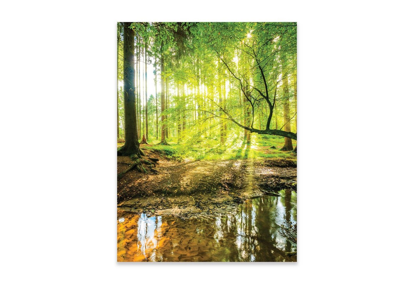 Wallarena Poster Wald Natur Wohnzimmer Schlafzimmer Kunstdruck Wandbild XXL, Wald (OHNE RAHMEN PREMIUM POSTER, 1 St), Wandbilder Poster 30x40 / 50x70 / 70x100 Küche Wohnzimmer Flur von Wallarena