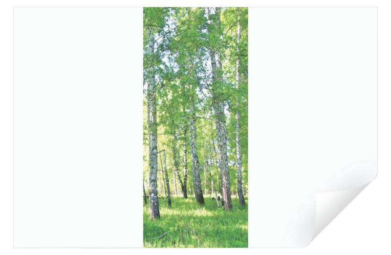 Wallarena Türtapete Selbstklebend Küche Wald Birkenwald Türfolie Türaufkleber Tür 91x211, Glatt, Grün Wald, Türtapete Selbstklebend von Wallarena