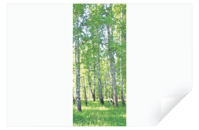 Wallarena Türtapete Selbstklebend Küche Wald Birkenwald Landschaft Natur 3D Effekt Türposter Türfolie Türaufkleber Fototapete für Tür, 91x211 cm, Glatt, Grün Wald, Türtapete Selbstklebend von Wallarena