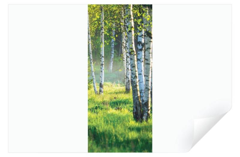 Wallarena Türtapete Selbstklebend Wald Birkenwald Natur Landschaft 3D Effekt Türposter Türfolie Türaufkleber Fototapete für Tür, 91x211 cm, Glatt, Grün Wald, Türtapete Selbstklebend von Wallarena