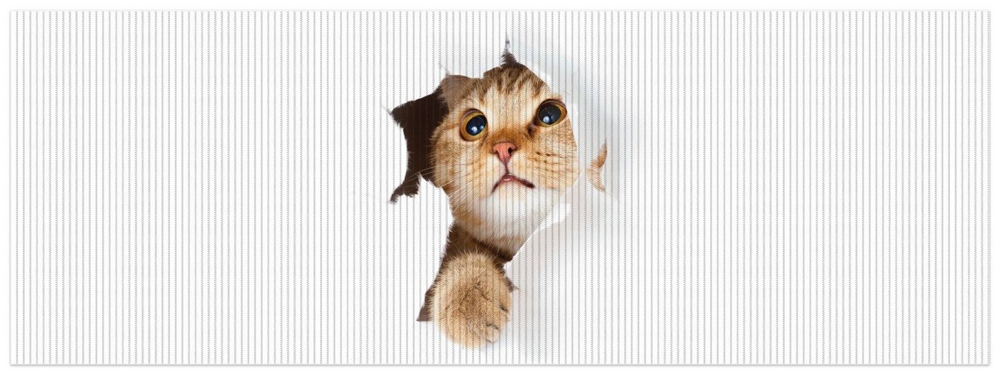 Schaum-Badematte Katze mit Blick nach oben Wallario, Höhe 5.5 mm, rutschhemmend, geeignet für Fußbodenheizungen, Polymer-Schaum, rechteckig von Wallario