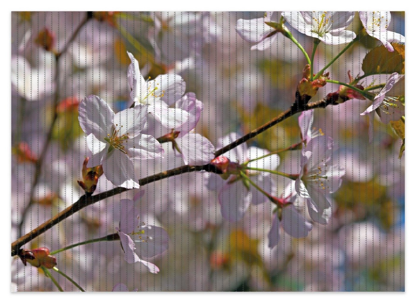 Schaum-Badematte Kirschblüten in zartem Rosa - Frühling im Garten Wallario, Höhe 5.5 mm, rutschhemmend, geeignet für Fußbodenheizungen, Polymer-Schaum, rechteckig von Wallario
