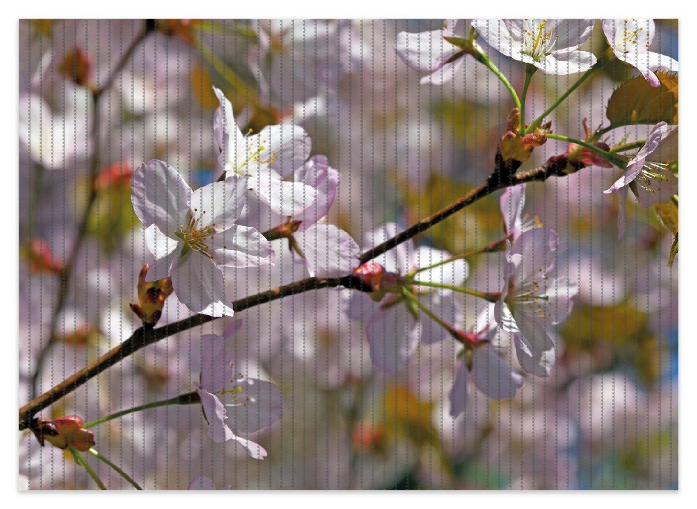 Wallario Schaum-Badematte Kirschblüten in zartem Rosa - Frühling im Garten, Höhe 5.5 mm, rutschhemmend, geeignet für Fußbodenheizungen, Polymer-Schaum, rechteckig Wallario Schaum-Badematte Kirschblüten in zartem Rosa - Frühling im Garten, Höhe 5.5 mm, rutschhemmend, geeignet für Fußbodenheizungen, Polymer-Schaum, rechteckig von Wallario
