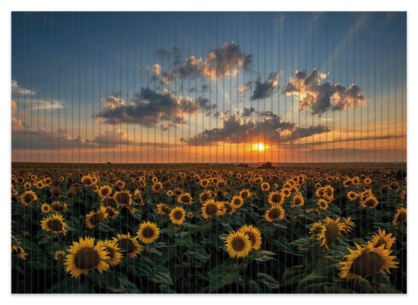 Schaum-Badematte Sonnenblumenwiese vor Wolken mit Sonnenuntergang Wallario, Höhe 5.5 mm, rutschhemmend, geeignet für Fußbodenheizungen, Polymer-Schaum, rechteckig von Wallario