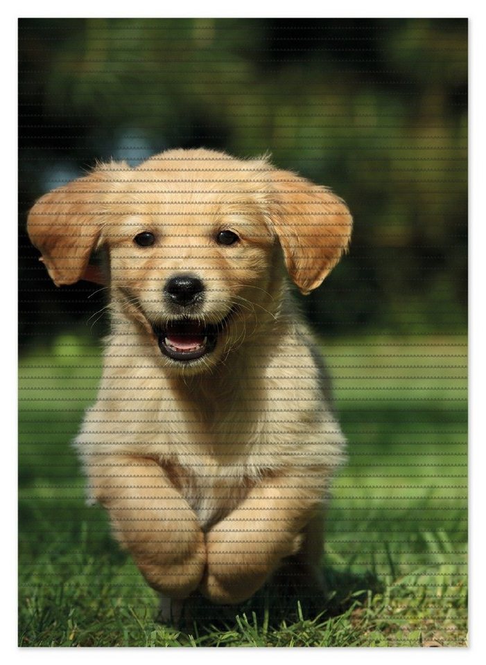 Schaum-Badematte Süßer Hund - Golden Retriever Wallario, Höhe 5.5 mm, rutschhemmend, geeignet für Fußbodenheizungen, Polymer-Schaum, rechteckig von Wallario