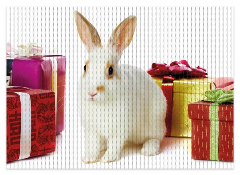 Schaum-Badematte Süßes Kaninchen mit bunten Geschenken Wallario, Höhe 5.5 mm, rutschhemmend, geeignet für Fußbodenheizungen, Polymer-Schaum, rechteckig von Wallario