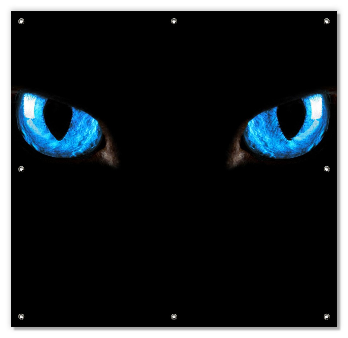 Sonnenschutz Blaue Katzenaugen bei Nacht, Wallario, blickdicht, mit Saugnäpfen, wiederablösbar und wiederverwendbar von Wallario