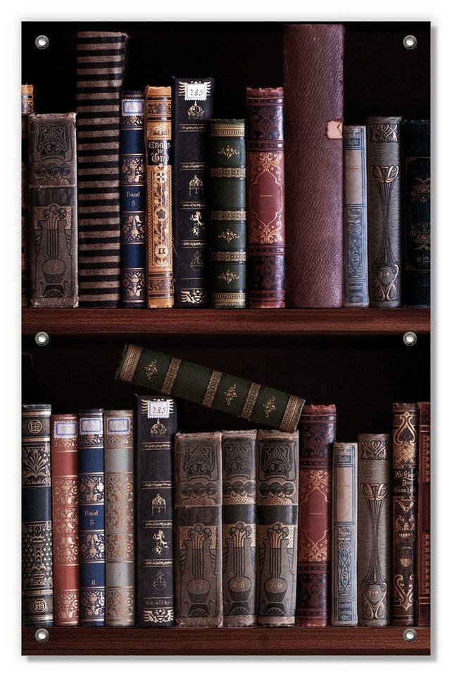Sonnenschutz Bücherregal mit alten Büchern, Wallario, blickdicht, mit Saugnäpfen, wiederablösbar und wiederverwendbar von Wallario