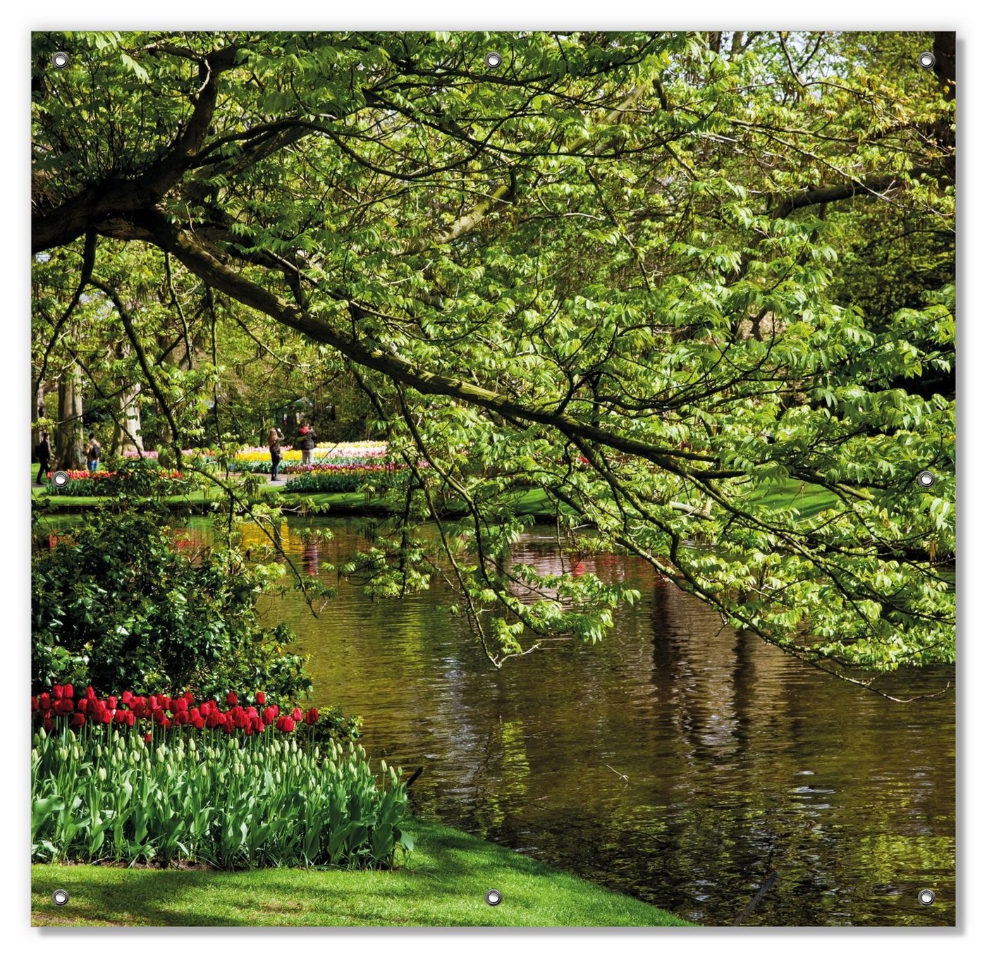 Sonnenschutz Bunte Blumen im Park am Wasser - Frühblüher am Ufer, Wallario, blickdicht, mit Saugnäpfen, wiederablösbar und wiederverwendbar von Wallario