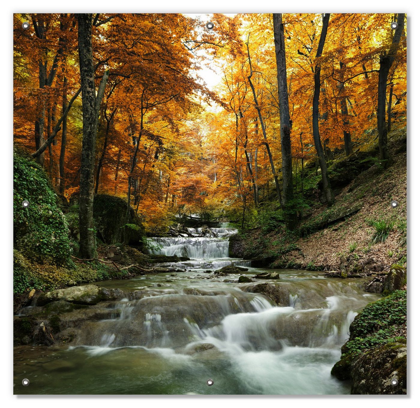 Sonnenschutz Kleiner Bach über Steine im Herbstwald, Wallario, blickdicht, mit Saugnäpfen, wiederablösbar und wiederverwendbar von Wallario