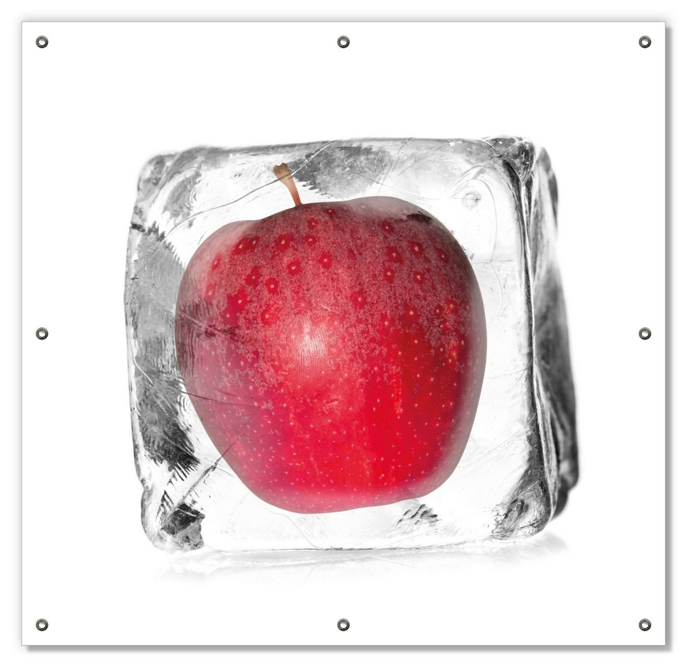 Sonnenschutz Roter Apfel in Eiswürfel - Eiskaltes Obst, Wallario, blickdicht, mit Saugnäpfen, wiederablösbar und wiederverwendbar von Wallario