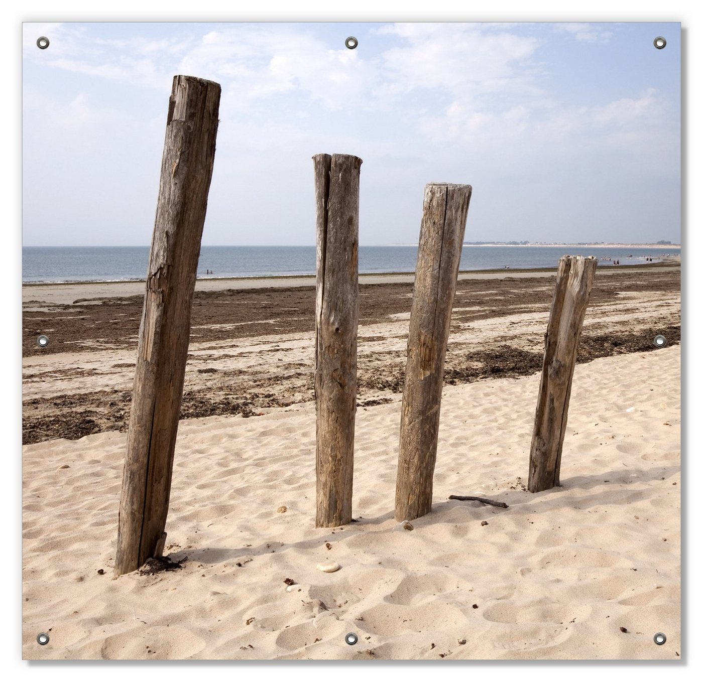 Sonnenschutz Sandstrand mit Holzpfählen am Atlantischen Ozean, Wallario, blickdicht, mit Saugnäpfen, wiederablösbar und wiederverwendbar von Wallario