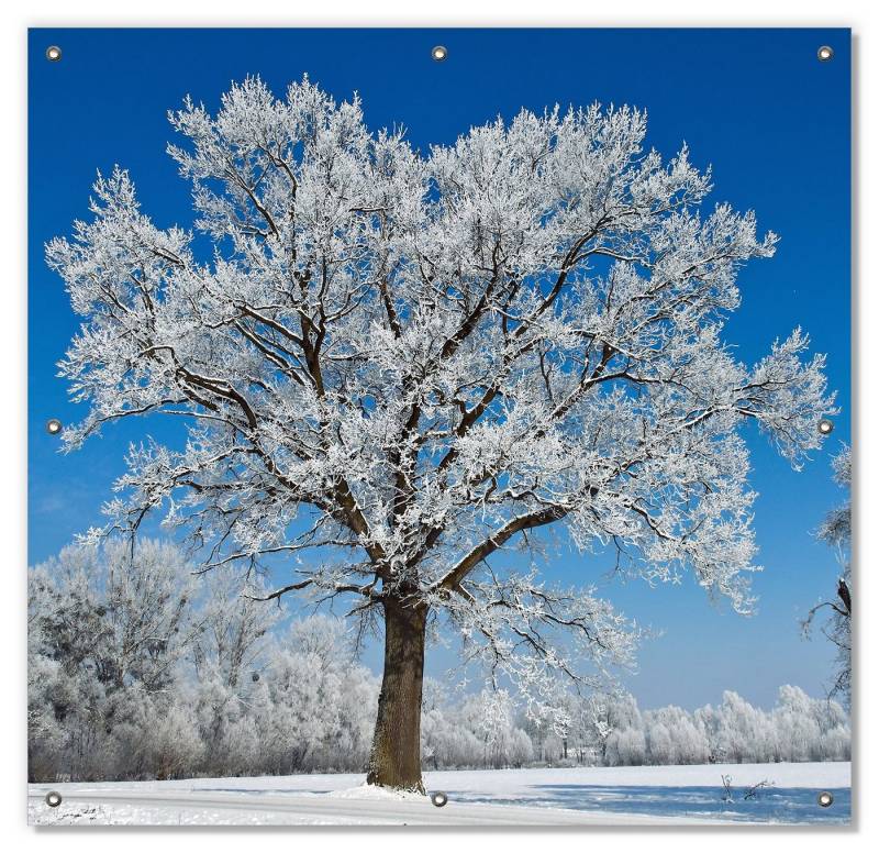Sonnenschutz Schneebedeckter Baum mit blauen Himmel, Wallario, blickdicht, mit Saugnäpfen, wiederablösbar und wiederverwendbar von Wallario