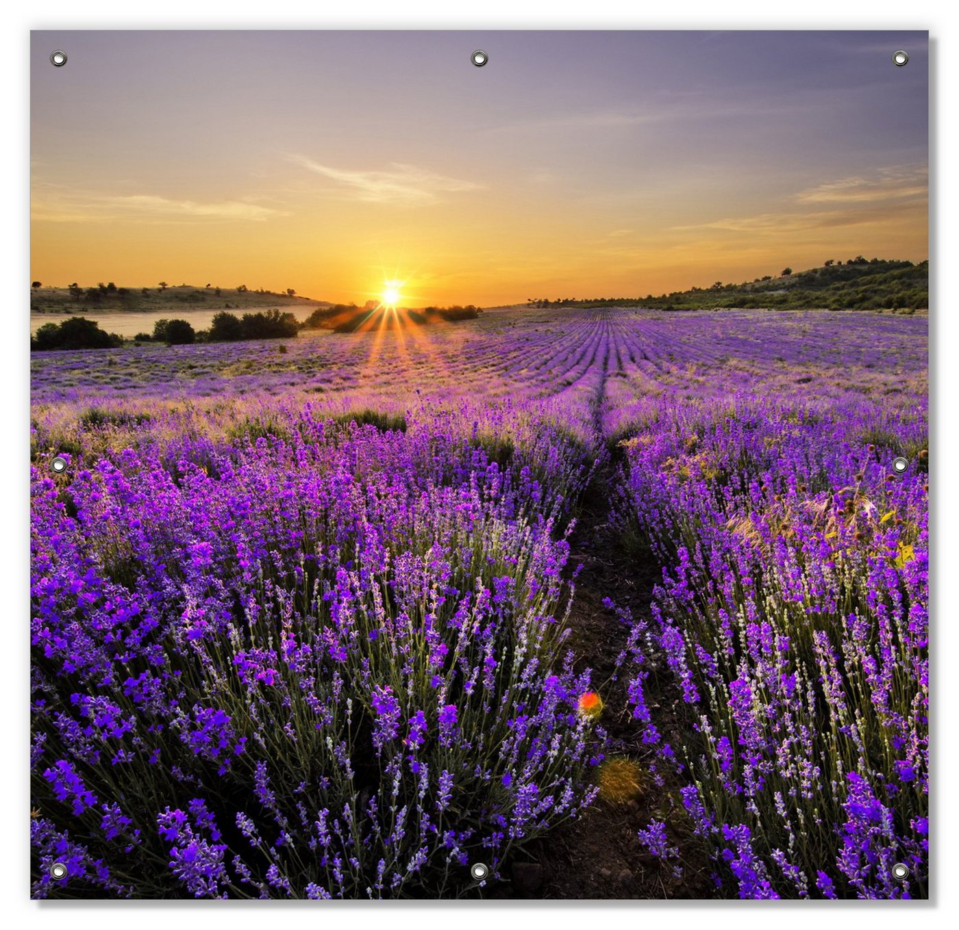 Sonnenschutz Sonnenuntergang über dem Lavendel, Wallario, blickdicht, mit Saugnäpfen, wiederablösbar und wiederverwendbar von Wallario