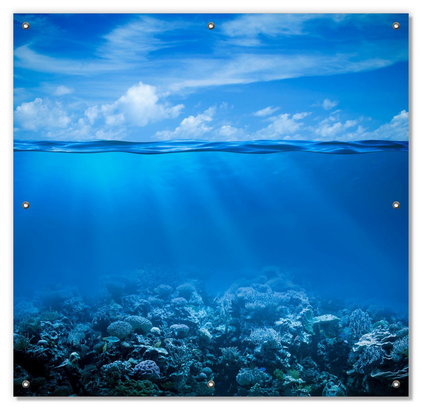 Sonnenschutz Unterwasserwelt Meer, Wallario, blickdicht, mit Saugnäpfen, wiederablösbar und wiederverwendbar von Wallario