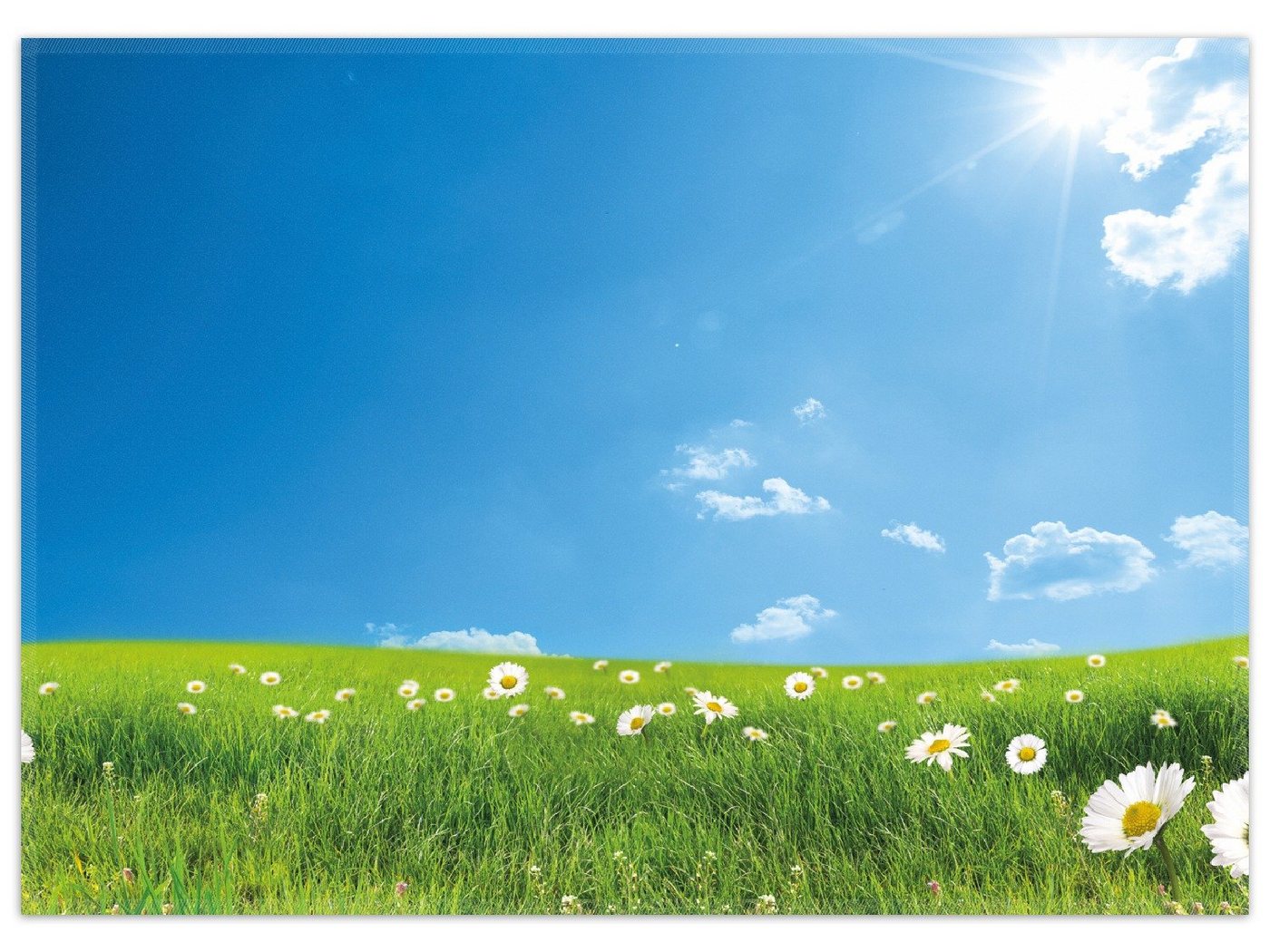 Teppich Sommerwiese - Weiße Gänseblümchen vor blauem Himmel, Wallario, rechteckig, rutschfest von Wallario