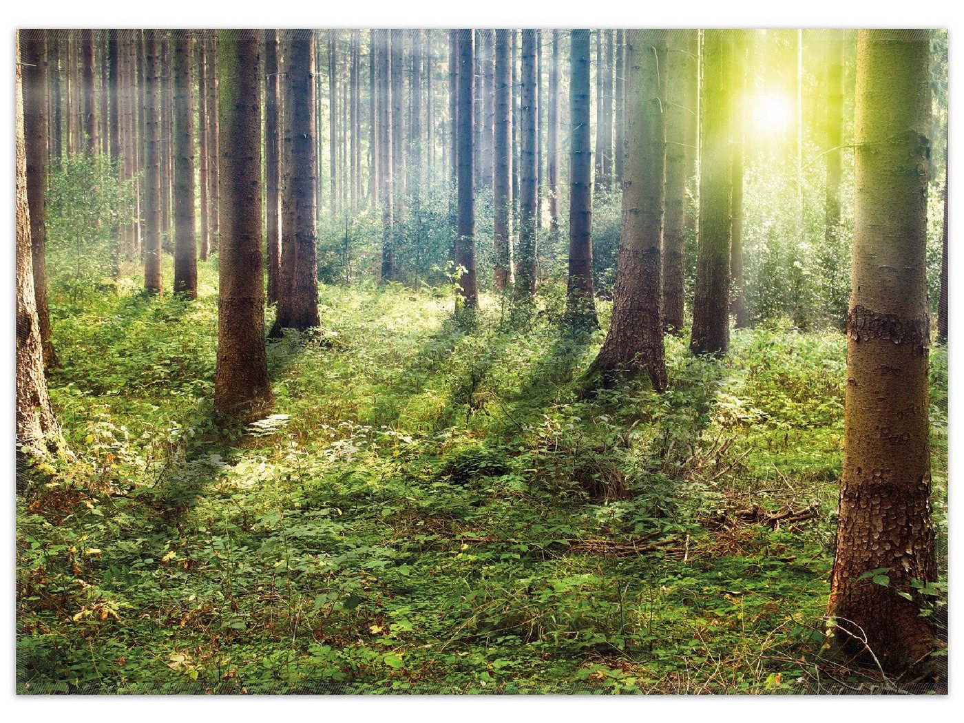 Teppich Sonnenuntergang im Wald zwischen den Bäumen, Wallario, rechteckig, rutschfest von Wallario