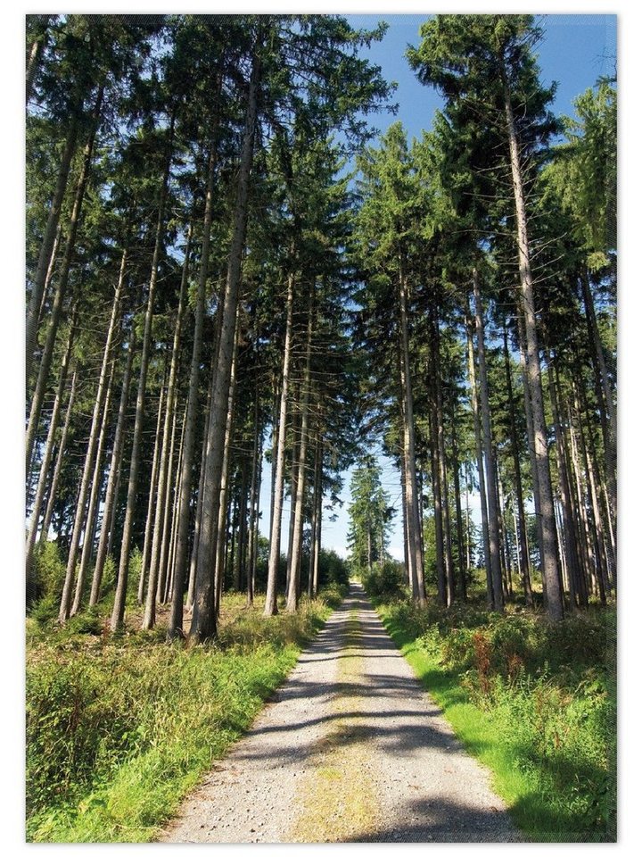 Teppich Stiller Waldweg, Wallario, rechteckig, rutschfest von Wallario