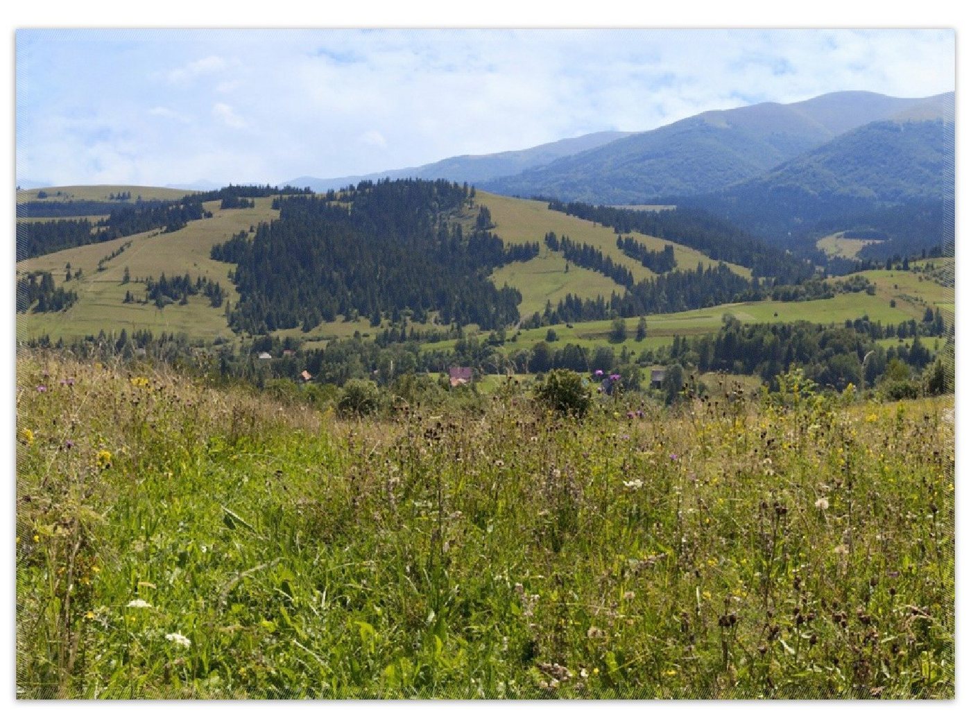 Teppich Bergwiese in den Karpaten, Wallario, rechteckig, rutschfest von Wallario