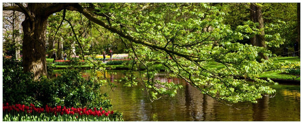 Wallario Acrylglasbild, Bunte Blumen im Park am Wasser - Frühblüher am Ufer, in verschiedenen Ausführungen von Wallario