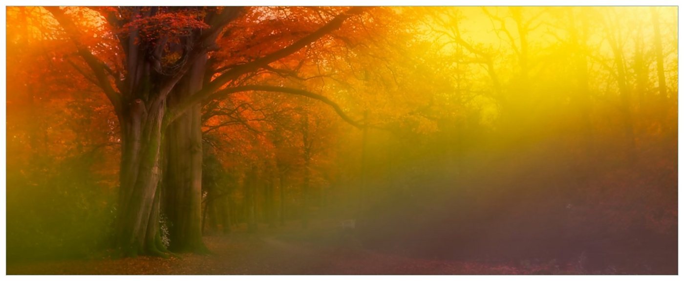 Wallario Acrylglasbild, Bunter Herbst - Waldlandschaft bei Nebel in Regenbogenfarben, in verschiedenen Ausführungen von Wallario