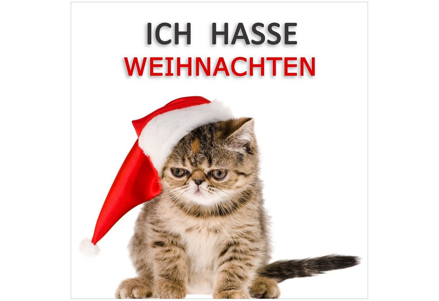 Wallario Acrylglasbild, Ich hasse Weihnachten - Spruch mit mürrischer Katze, in verschiedenen Ausführungen von Wallario