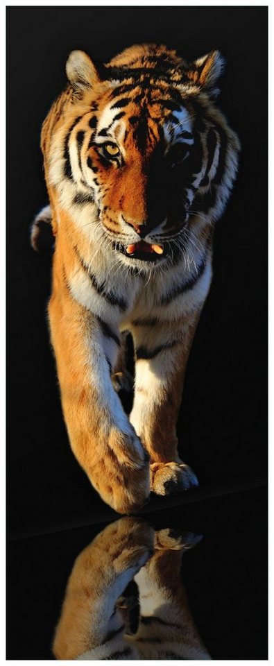 Wallario Acrylglasbild, Laufender Tiger, in verschiedenen Ausführungen von Wallario