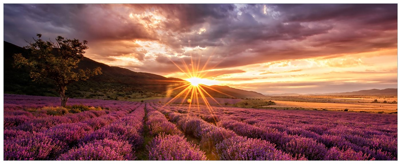 Wallario Acrylglasbild, Lavendelfeld bei Sonnenuntergang - Sonnenstrahlen, in verschiedenen Ausführungen von Wallario